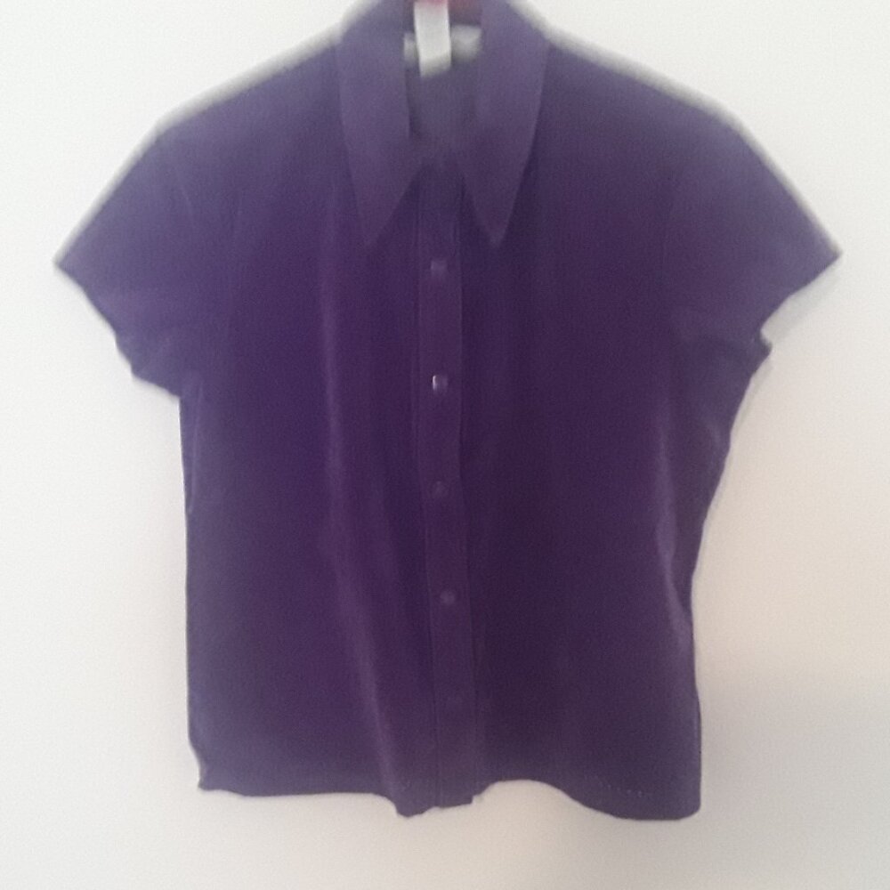 Compagnie Internationale Express Medium Purple Snap Up Netting Dress Shirt